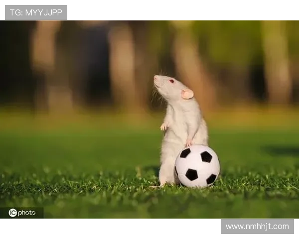 动物界的足球明星们如何在绿茵场上展现他们的独特魅力与才华