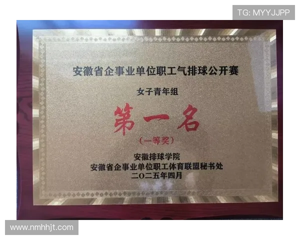 南京排球队在全国排球速度排行榜中荣获第五名的佳绩引发热议