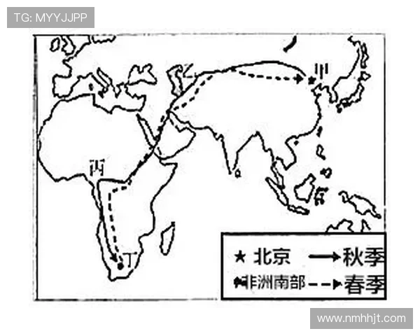 深入探讨北京乒乓球队速度表现的数据分析与训练策略研究