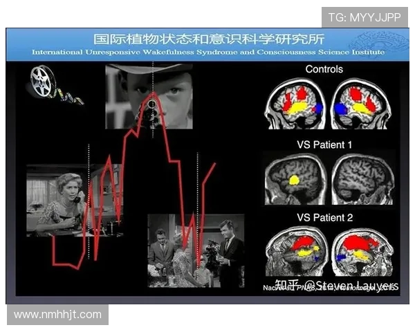 广州网球队总决赛表现分析与状态评估深度解读